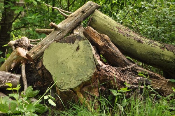 op bezoek bij kunstenaars thuis (23)