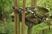 op bezoek bij kunstenaars thuis (43)