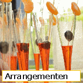 arrangementen